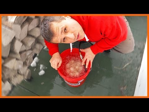 DIY Egg Washer Machine for Under $20