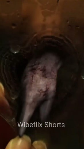 Reflection SMILED First 😱 #MirrorHorror