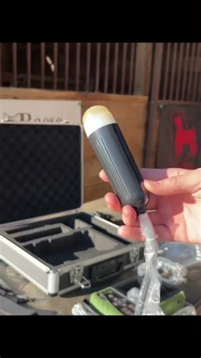 Ultrasound Pregnancy Testing for Cattle, Sheep, and Goats