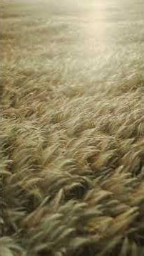 Instrumen Soothing Javanese–Mandarin instrumental music.