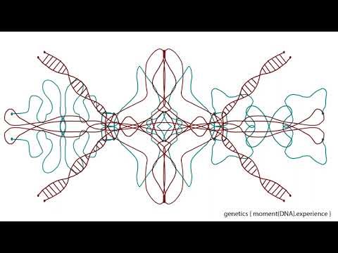 Genetics Eternal Moment™ { DNA Moment }