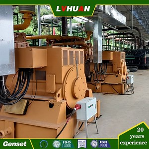 [Hot Item] Biogas Power Plant or Gas Generator Parts for Biogas Syngas Landfill Gas Engine Generator