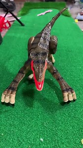Watch Dinosaur toy demonstration on Amazon Live