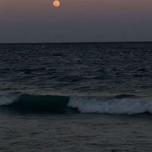 La cartera - Carlos Vives.🪗🎶 | Music25/8