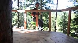 5.2K views · 85 reactions | We show you a lot unique off grid tree houses at www.TheOffGridCabin.com Some have some pretty ingenious ways to get in and out of them. Like using a reclaimed fireman pole, another has a zipline and even one with a water slide. But we've never seen one with a bicycle elevator… till now! | The Off Grid Cabin | Facebook