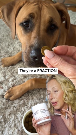 Honestly, I'm nervous about sharing this story. But if fatty lumps on your dog or watching those bumps multiply every month is ruining your life, you deserve to know what I discovered. My reality for the past 14 months has been absolute hell — feeling every new lump during cuddles, googling "is this cancer?" at 3am, avoiding the topic with other dog parents. Enjoying my time with Charlie became impossible. Peaceful sleep was off-limits. Vet visits turned into a nightmare. Every single day revolv