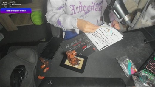 🔴 Montage de lego V2 • BANZAII --> !fish × !don × !sub × !discord × !config × !setup × !clip × !lurk ×