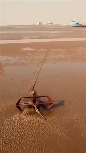 Maersk Connector grounding highlights engineering risks in maritime operations | Nautical Voice posted on the topic | LinkedIn