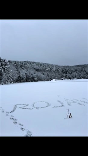 Rojava and the Struggle for Peace