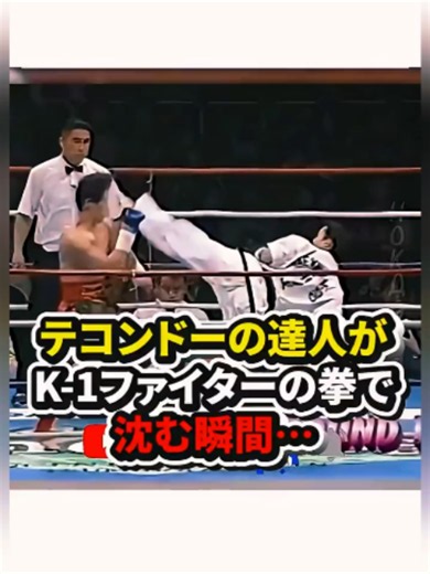 テコンドー達人がK-1ファイターに沈む瞬間 - 試合ハイライト
