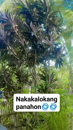 Climate change is the significant variation of average weather conditions becoming, for example, warmer, wetter, or drier—over several decades or longer. It is the longer-term trend that differentiates climate change from natural weather variability. #climatechange #protectearth #fbvideoviral #fbreelsviral #fbreels2023 #monetizationgoals #instreamadsunlocked #adsonreelsinvite | JasRos BarGee | Facebook