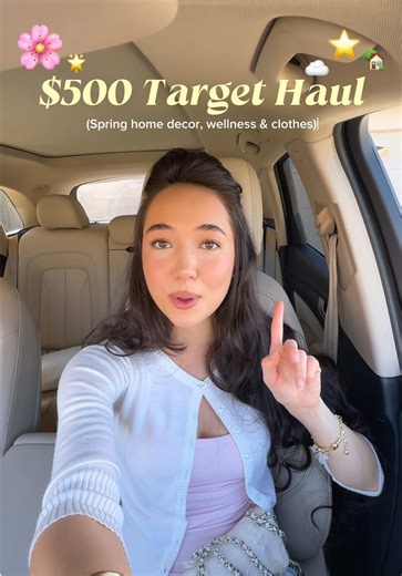 Insane Target Haul: Is It Worth Over $500?