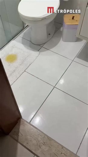 🤣 O adm está trabalhando na defesa do doguinho! Peter estava muito quieto em casa e a tutora Ana Luz resolveu ir atrás de saber o que ele estava aprontando. Ao chegar no banheiro, a moça acabou se deparando com xixi no tapete e a reação foi imediata: “Quem fez isso?”, perguntou Ana. No entanto, Peter, que estava escondido atrás da porta, pensou estar invisível e que se livraria da “bronca”. Ao ser flagrado, o cachorrinho não hesitou e logo ativou o modo coitado. A cena fofa e divertida rapidame