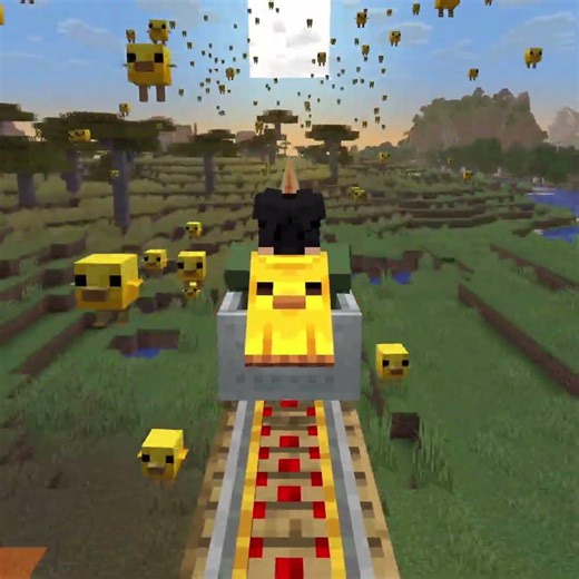 Chicken Cape v02 1x1