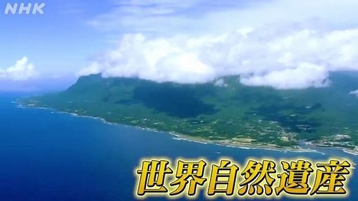世界遺産　屋久島　 | NHK for School