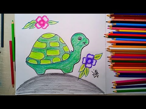 كيفية رسم سلحفاة بطريقة سهلة مع الخطوات | رسومات للمبتدئين