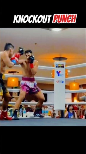 Step Back Body Hook KO 🔥 | Boxing Counter Combo Tutorial