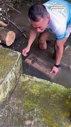 The Strangest Seafood You've Never Heard Of? 😋 #worldcountrysidelifevlog #SeafoodLovers #WeirdFood #OceanOddities DISCLAIMER NO COPYRIGHT INFRINGEMENT INTENDED | World Countryside Life Vlog