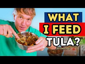 What I Feed My Dog Every Day (Dr. Jones’ Real Food Routine)