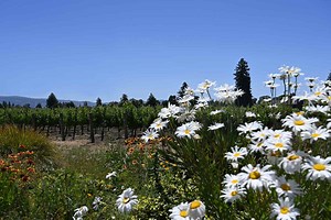 These Are the Top Trending U.S. Destinations This Year, According to Tripadvisor