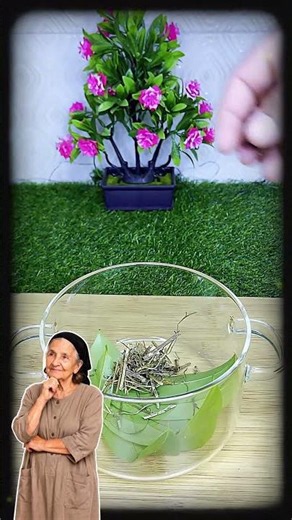 SOURSOP AND CHAMOMILE TEA TO DEBLOAT AND BOOST ENERGY
