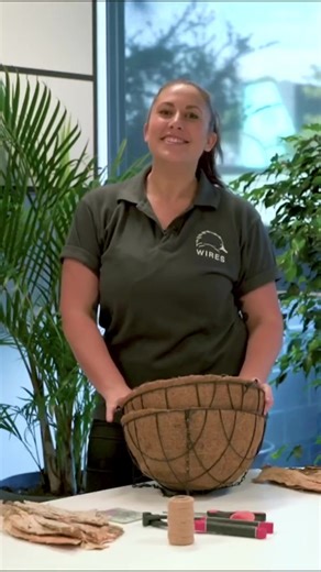 Looking for a fun DIY project to help our wildlife these school holidays? Consider making a possum drey! By attaching two hanging plant baskets together with thread or ties and placing some paper bark to the top of the dome, you can recreate a nesting place suitable for possums. What you’ll need: 🌿 Two wire hanging baskets 🌿 Two coconut fibre liners 🌿 Cable ties or twine 🌿 Leaf litter or paperbark for camouflage and water proofing Check the comments section for alternative materials. For det