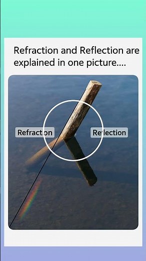 Reflection and refraction are explain in one picture #light
