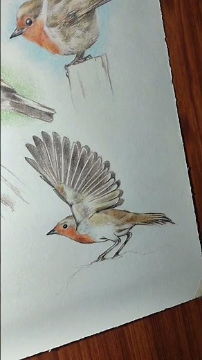 Color Pencil Techniques You NEED To Know 1 #colourpencildrawing #shortfeed #shorts