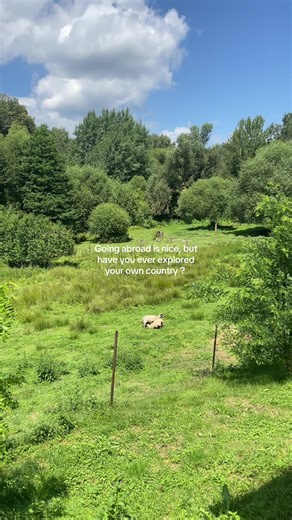 Discovering the Beauty of the Czech Countryside