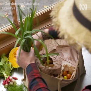 55K views · 1.7K reactions | What are the secrets to running a successful and sustainable micro farm?  Tino visits the Longley Organic Farm to learn about the strategies and soil used to maintain a commercially viable crop. The farm thrives upon a modest plot of land, providing a bounty of fresh produce for local families and restaurants alike. #gardeningaustralia | Gardening Australia | Facebook