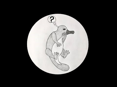 TCP #20 | Six Snippets