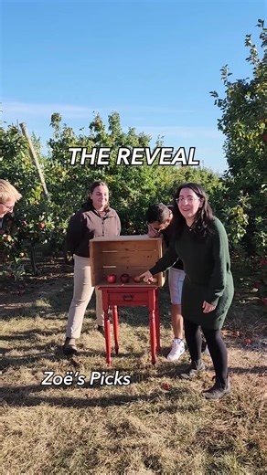 “Let’s go apple picking!” takes on a whole new meaning for student researcher Kylie DeViller 🍎 After analyzing nearly 6,000 apples in Dr. Zoë Migicovsky’s lab, Kylie discovered that apple shape and size aren’t linked—a game-changer for apple breeding everywhere! This foundational work means that apple growers will someday be able to breed for the perfect shape AND size without compromise. 🌟 Dive into the full story to see how Kylie is turning data into real-world impact. https://www2.acadiau.c