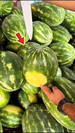 The Man Cut The Watermelon And Showed It 🍉