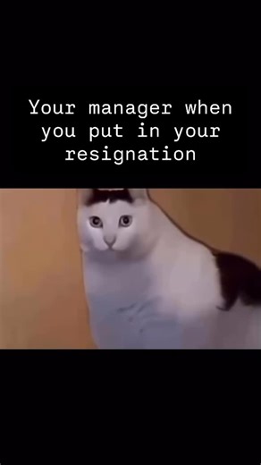 dank dev memes | #softwaredeveloper #softwareengineer #programmerhumor #devlife #techjobs #coding #programming | Instagram