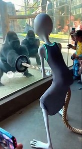 Alien vs Two Gorillas in Tug-of-War?! Zoo Crowd Loses Their Minds! 👽🦍🔥 #zoo #funnygorilla #gorilla