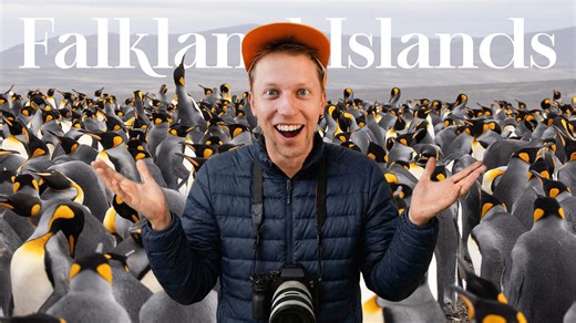 I solo travelled to the world's largest penguin colony | The Falkland Islands