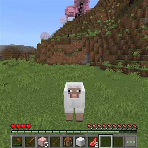 Minecraft Random Mob Converter #minecraft #shorts