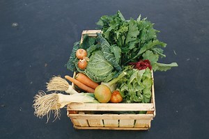 Consumption, food loss and waste | Regional Technical Platform on Green Agriculture | Food and Agriculture Organization of the United Nations