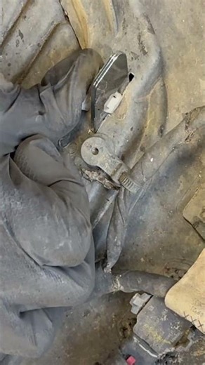 2021-2026 Chevrolet Tahoe Rear Bumper Molding Replacement (Easy DIY Removal) ‪@ElmoMotorWorks‬