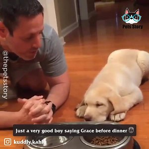 I think it's about time I got a puppy 😍 | Pets Story