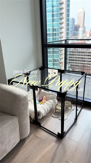 Creating a Puppy-Friendly Apartment Space