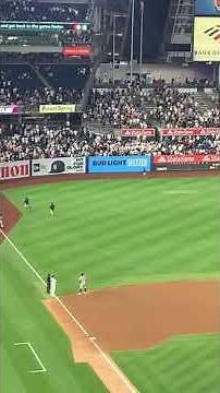 Cat Steals the Show at Yankees-Orioles Game in the Bronx