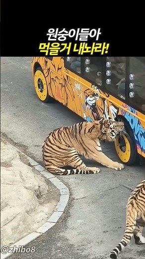 원숭이들아 먹을거 내놔라!