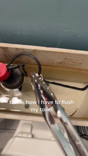 How a Toilet Flush Mechanism Works: Detailed Overview