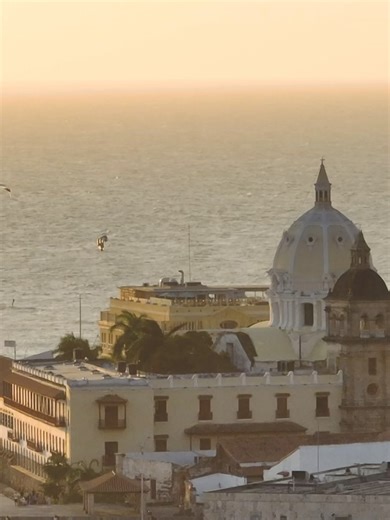 Bastion Luxury Hotel on Reels