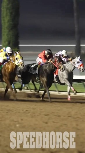 #caballos #horse #carrerasdecaballos
