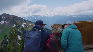 44 reactions | The snow is gone, but adventure is on! Join us for Scenic Gondola Rides, hiking, horseback rides, Disc Golf, and more | Crystal Mountain Resort | Facebook