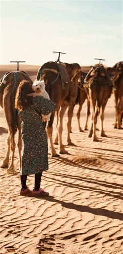 Making furiends around the world - from reindeers in Lapland 🇫🇮 to dromedaries in Morocco 🇲🇦 That’s always the best part of traveling❣️