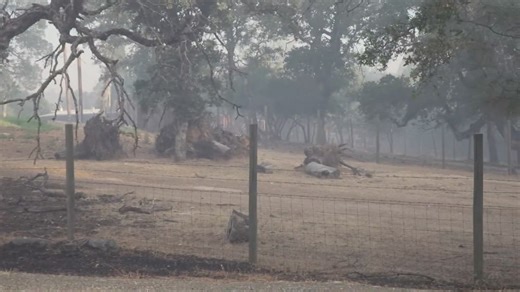 Apache Fire in Butte County: Evacuations downgraded to warnings near Palermo as fire burns
