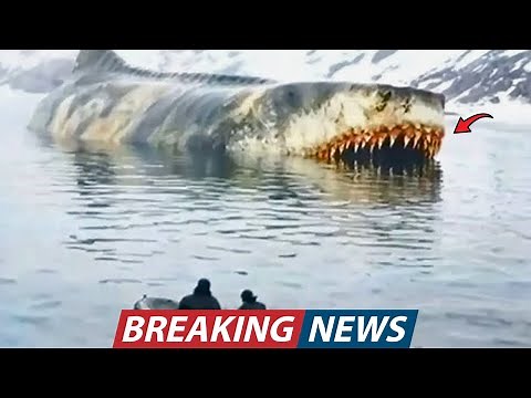 Norwegian Researchers Filmed a 60-Foot Predator With Spiral Teeth and Footage Sparked Global Panic